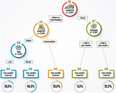 Creation Process of the Digital Platform to Foster Healthy and Active Aging: enbuenaedad